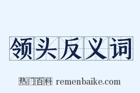 领头反义词是什么意思的图片